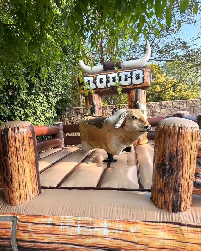 Mechanical Bull Rental Near Me: Best Guide 2026